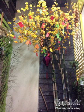 superbrain-go-vap-hoi-cho-xuan