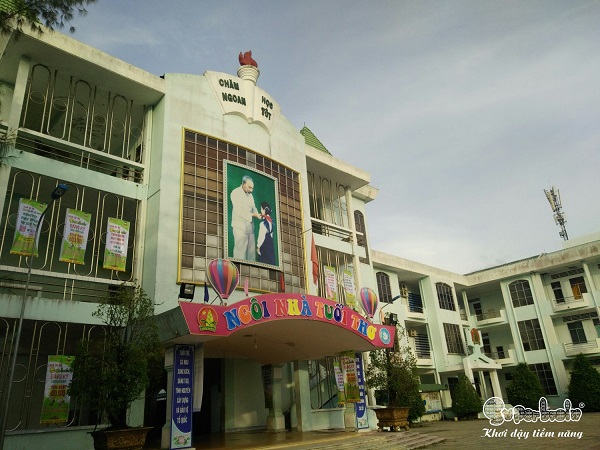 SUPERBRAIN CÀ MAU – TƯNG BỪNG KHAI TRƯƠNG