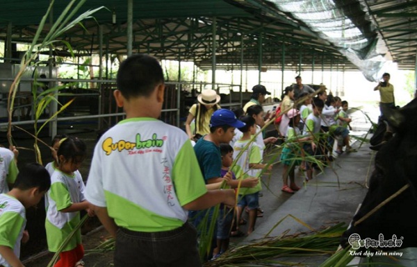 mua-he-y-nghia-voi-nhung-chuyen-di-cung-cac-ban-nho-superbrain