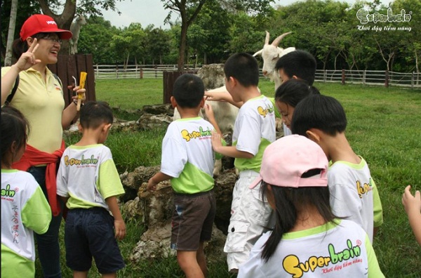 mua-he-y-nghia-voi-nhung-chuyen-di-cung-cac-ban-nho-superbrain