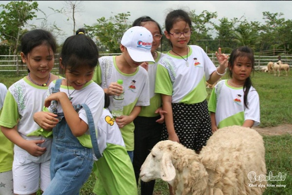 mua-he-y-nghia-voi-nhung-chuyen-di-cung-cac-ban-nho-superbrain