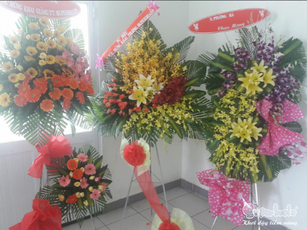 SUPERBRAIN HÓC MÔN – TƯNG BỪNG KHAI TRƯƠNG