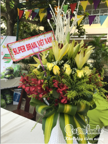 SUPERBRAIN ĐÀ NẴNG NGŨ HÀNH SƠN KHAI TRƯƠNG