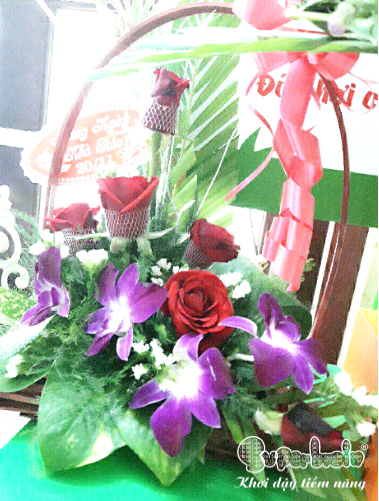 MỪNG NGÀY NHÀ GIÁO VIỆT NAM 20/11 CÙNG SUPERBRAIN