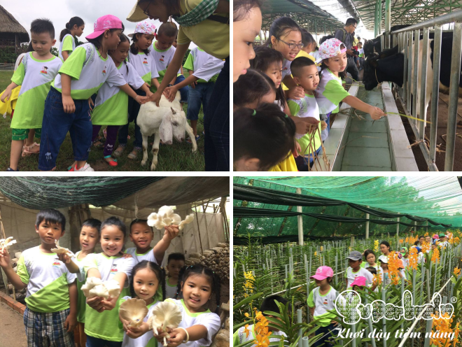 MÙA HÈ Ý NGHĨA CHO CON TẠI SUPERBRAIN