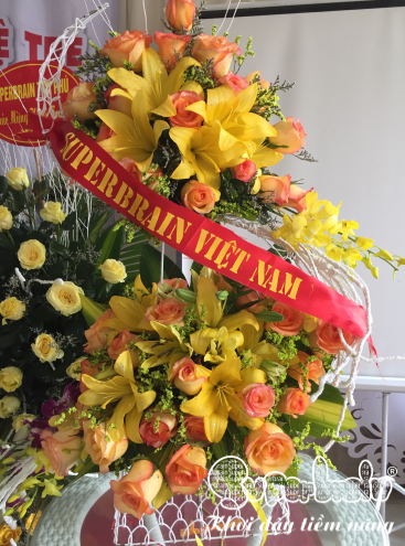 SUPERBRAIN HẬU LỘC KHAI TRƯƠNG