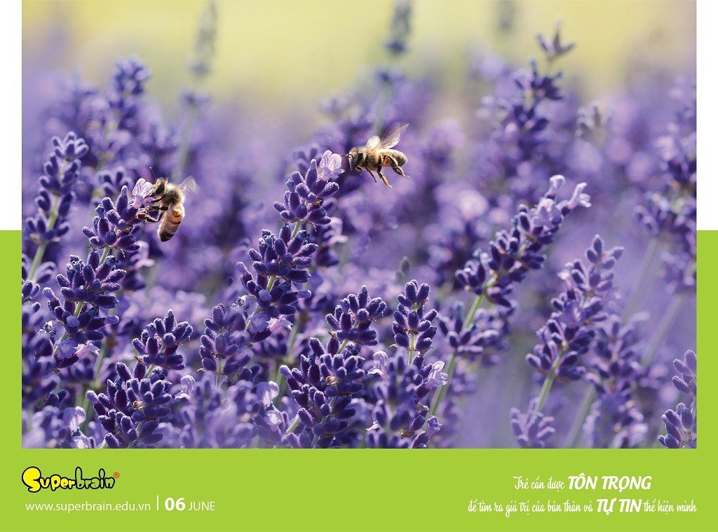 SUPERBRAIN TÔN TRỌNG YẾU TỐ THIÊN BẨM CỦA TRẺ – THÔNG ĐIỆP TỪ LỊCH NĂM 2020