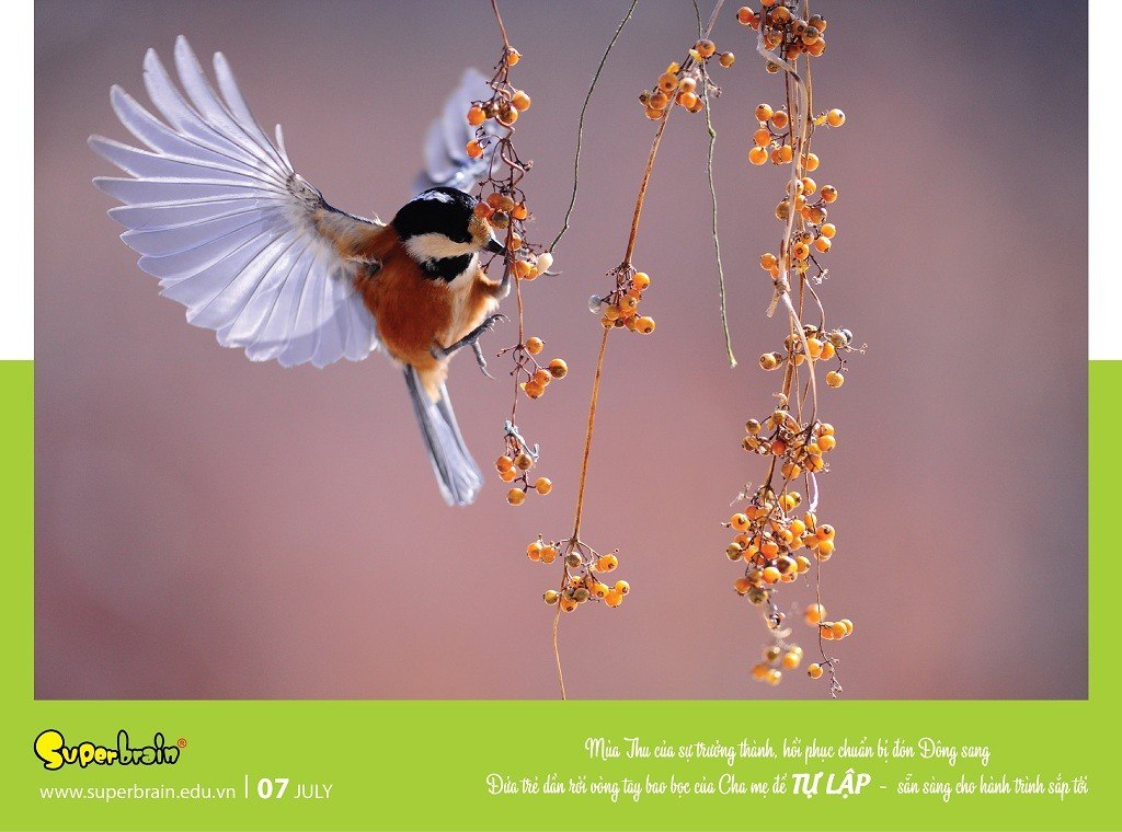 SUPERBRAIN TÔN TRỌNG YẾU TỐ THIÊN BẨM CỦA TRẺ – THÔNG ĐIỆP TỪ LỊCH NĂM 2020