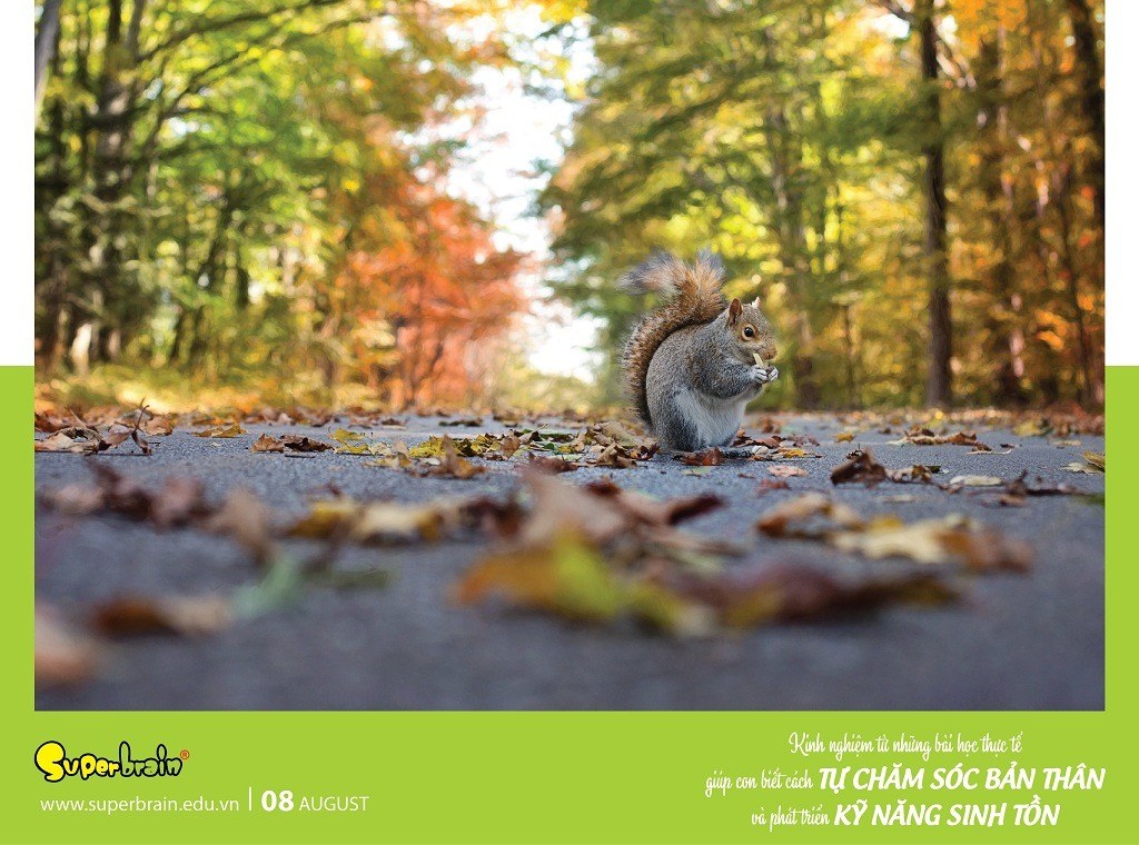 SUPERBRAIN TÔN TRỌNG YẾU TỐ THIÊN BẨM CỦA TRẺ – THÔNG ĐIỆP TỪ LỊCH NĂM 2020