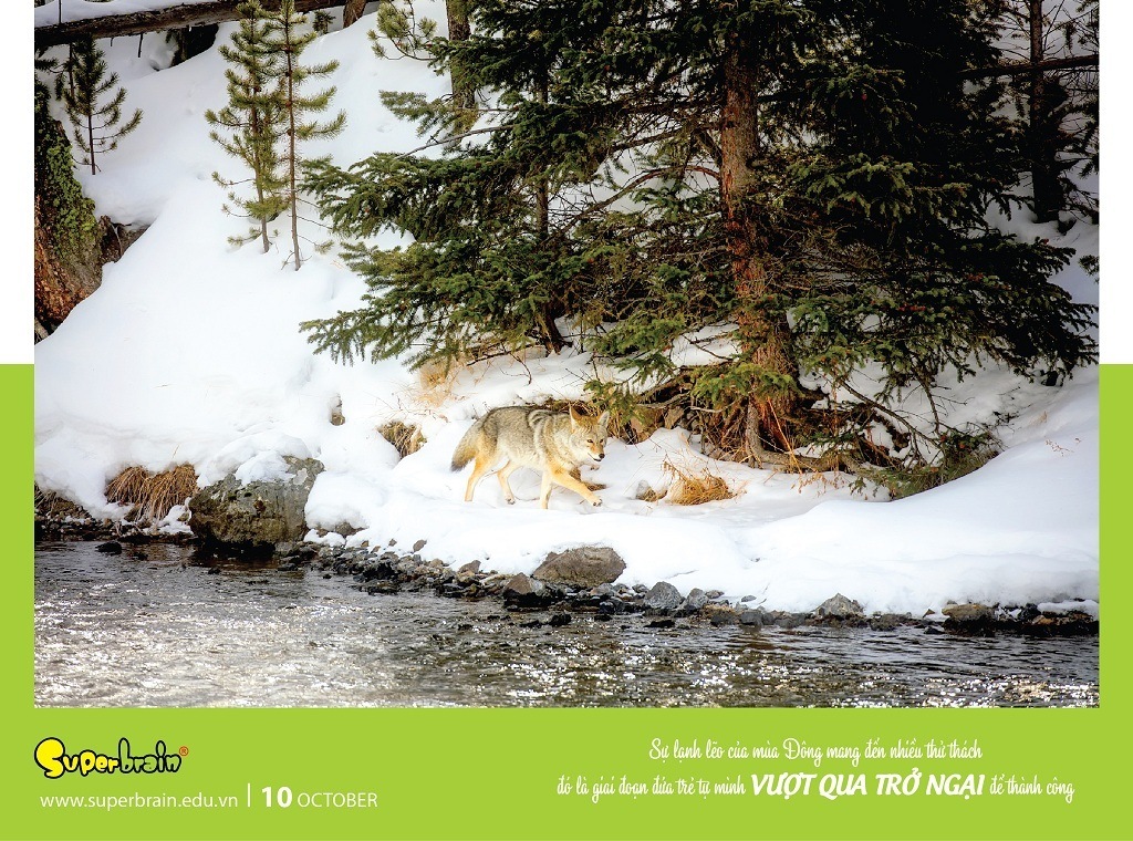 SUPERBRAIN TÔN TRỌNG YẾU TỐ THIÊN BẨM CỦA TRẺ – THÔNG ĐIỆP TỪ LỊCH NĂM 2020