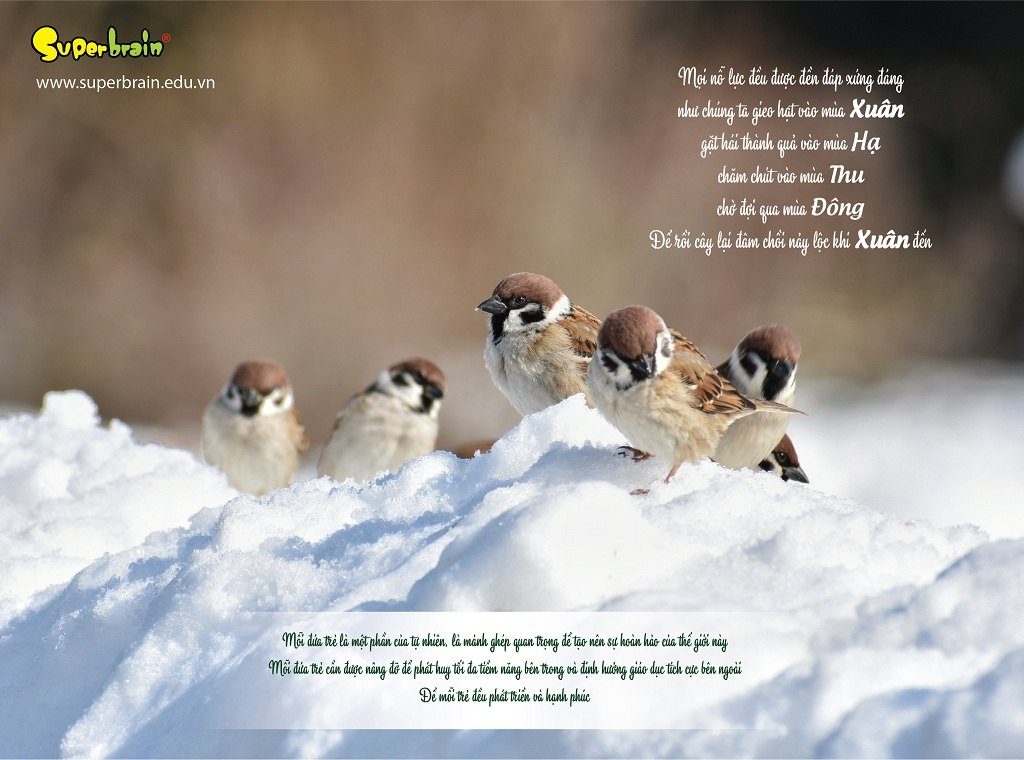 SUPERBRAIN TÔN TRỌNG YẾU TỐ THIÊN BẨM CỦA TRẺ – THÔNG ĐIỆP TỪ LỊCH NĂM 2020