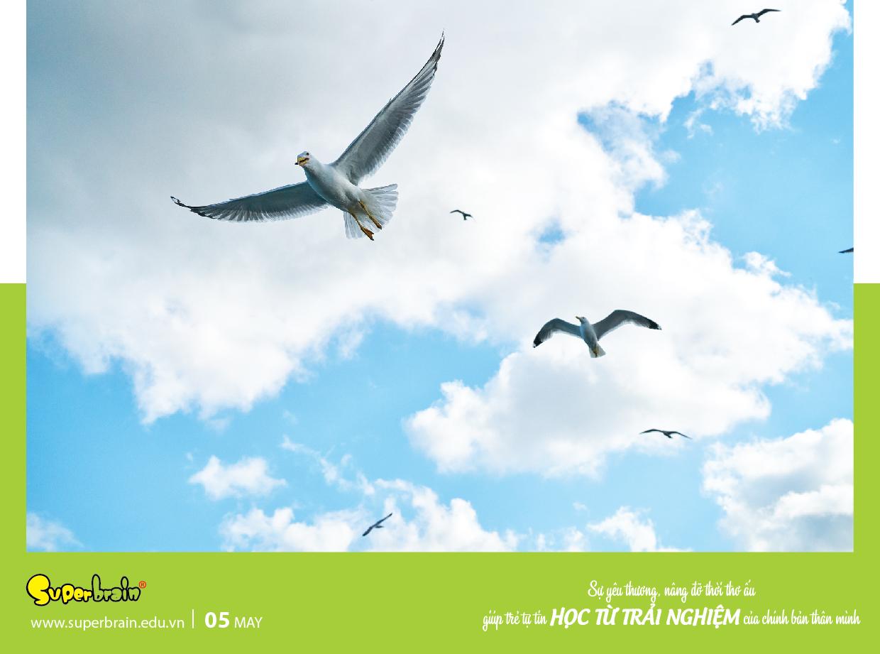 SUPERBRAIN TÔN TRỌNG YẾU TỐ THIÊN BẨM CỦA TRẺ – THÔNG ĐIỆP TỪ LỊCH NĂM 2020