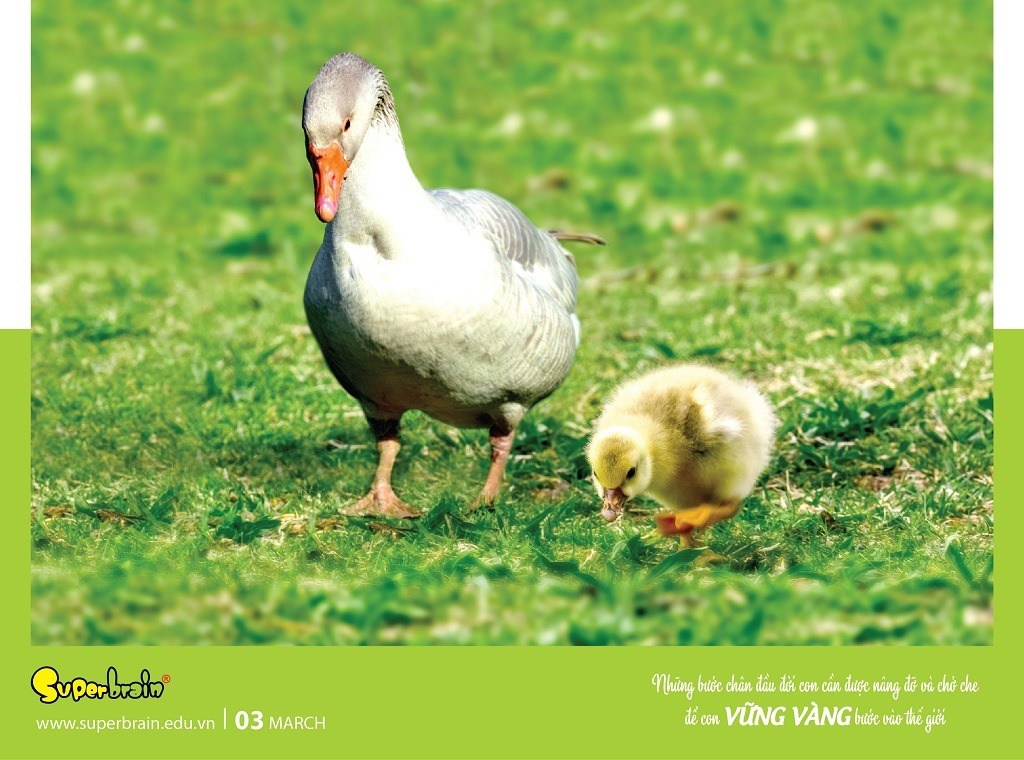 SUPERBRAIN TÔN TRỌNG YẾU TỐ THIÊN BẨM CỦA TRẺ – THÔNG ĐIỆP TỪ LỊCH NĂM 2020