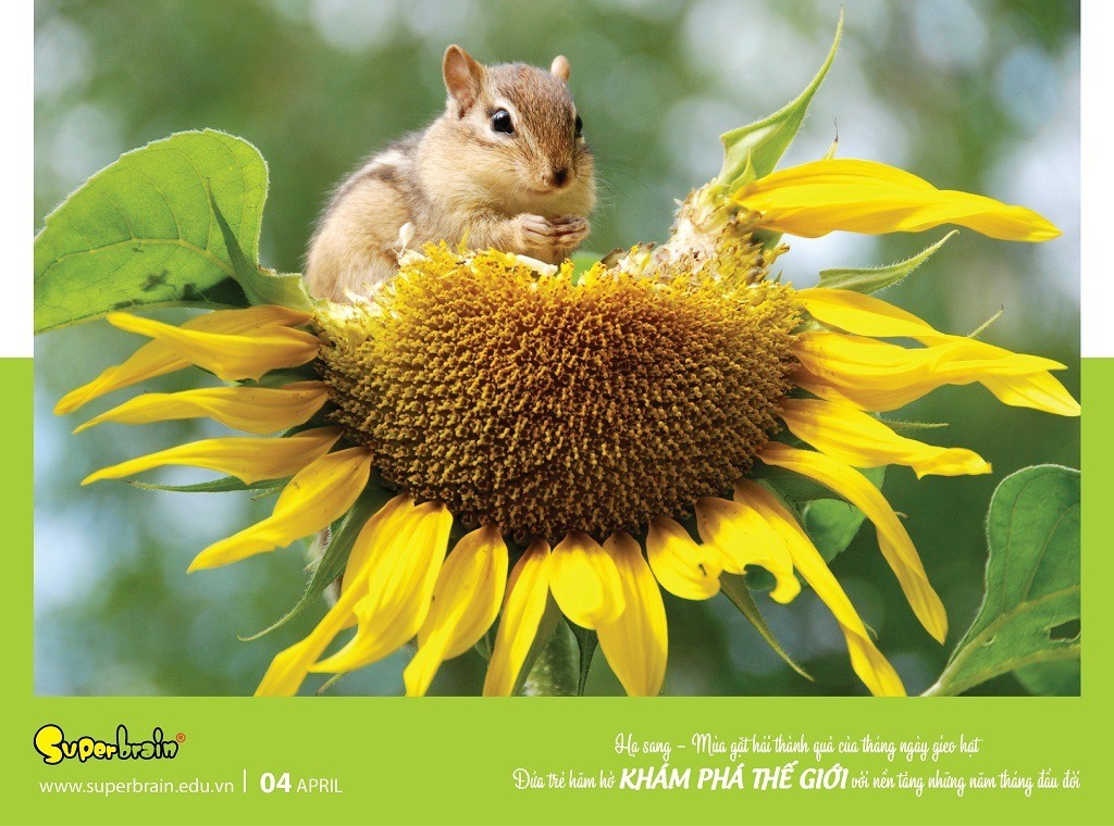 SUPERBRAIN TÔN TRỌNG YẾU TỐ THIÊN BẨM CỦA TRẺ – THÔNG ĐIỆP TỪ LỊCH NĂM 2020