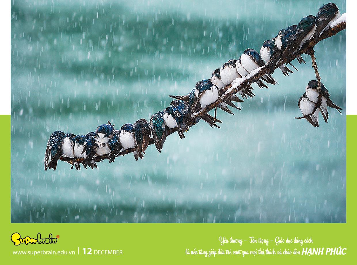 SUPERBRAIN TÔN TRỌNG YẾU TỐ THIÊN BẨM CỦA TRẺ – THÔNG ĐIỆP TỪ LỊCH NĂM 2020