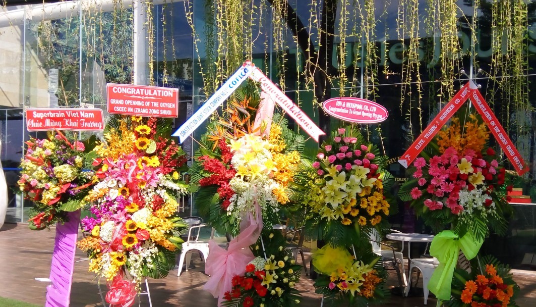 SUPERBRAIN VIỆT NAM CHÚC MỪNG KHAI TRƯƠNG KHU THƯƠNG MẠI THE OXYGEN