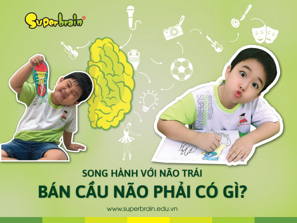 não trái và não phải