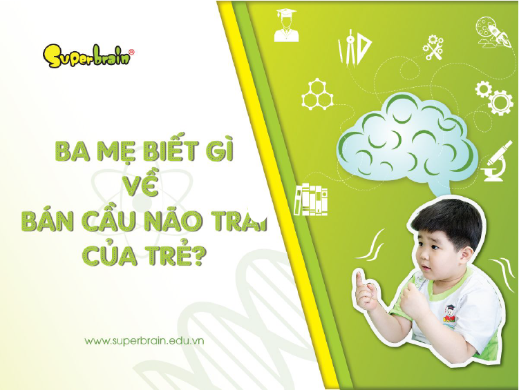 não trái và não phải