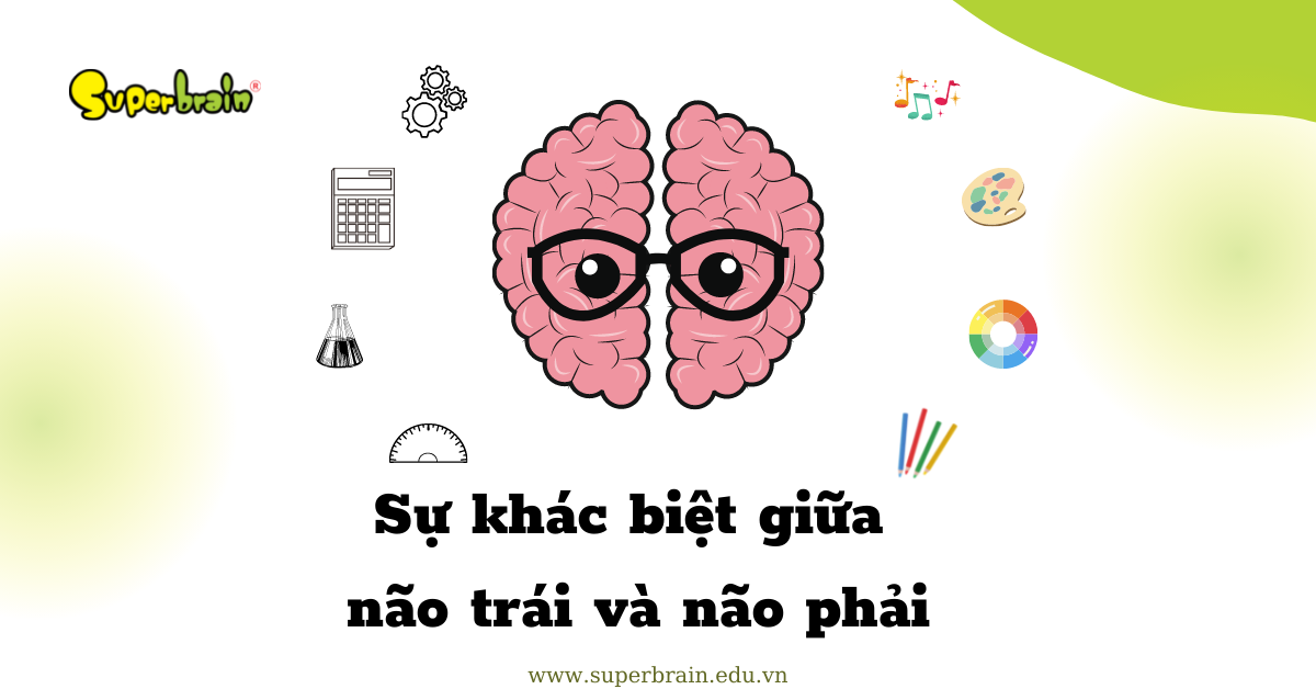 não trái và não phải